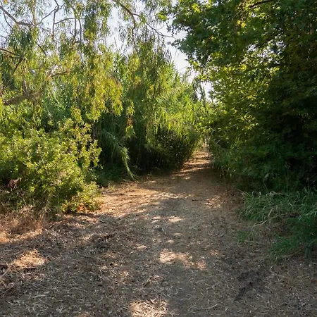 Goldener 3-4 Каковатос