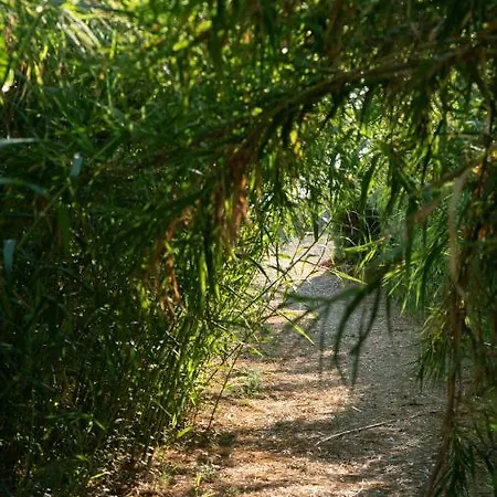 Lejlighed Goldener 3-4