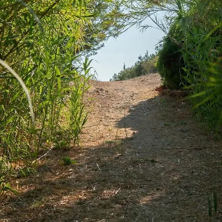 Goldener 3-4 Lägenhet Kakovatos (Elis)