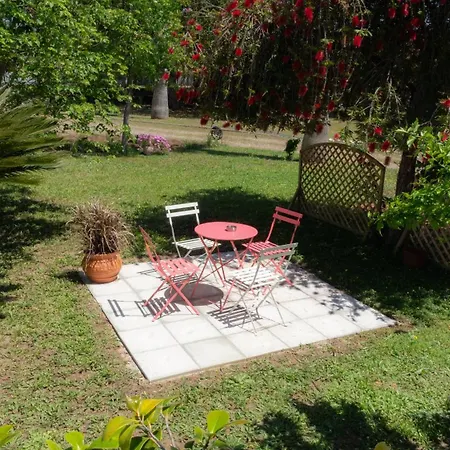 Goldener 3-4 Kakovatos (Elis)