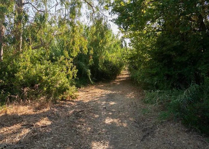 Goldener 3-4 Kakovatos (Elis)