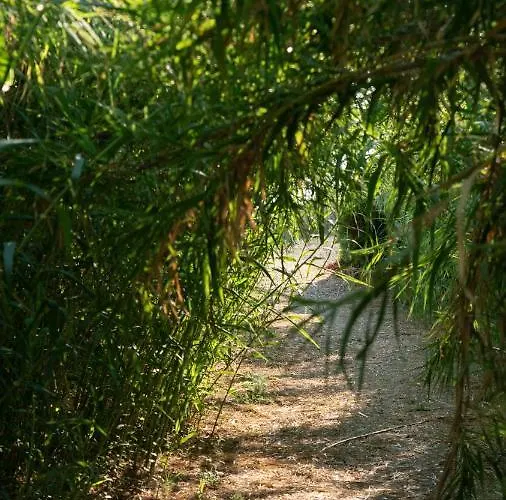 Apartment Goldener 3-4