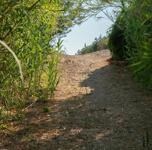 Goldener 3-4 Апартаменты Каковатос